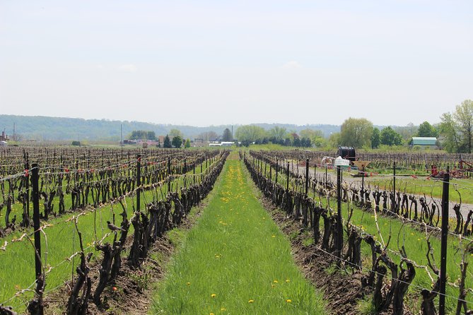 Niagara-on-the-Lake Grape to Glass Wine Experience - Who should book this (and who might want a different style)