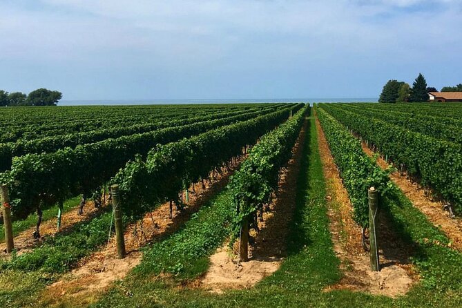 Niagara-On-The-Lake Guided Wine and Charcuterie Full-Day Tour - Niagara-on-the-Lake Old Town break: 75 minutes for lunch and shopping