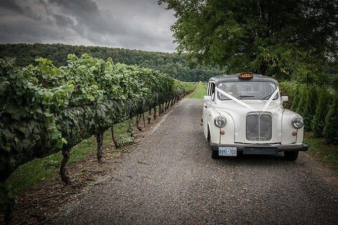 Niagara-on-the-Lake Wine Tour with Lunch -Private Tour in Classic English Cab - What the Tastings Feel Like: Structured, Guided, and Built for Learning