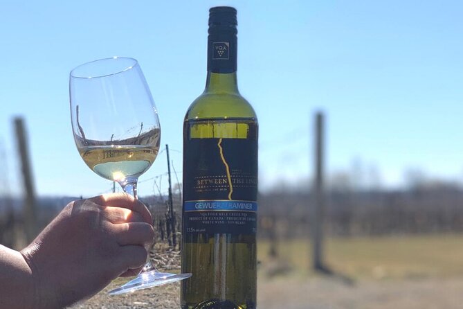 Niagara's Decadent Sparkling and Icewine Tasting - Cabernet Franc Icewine + dark chocolate brownie: the finish with gravity