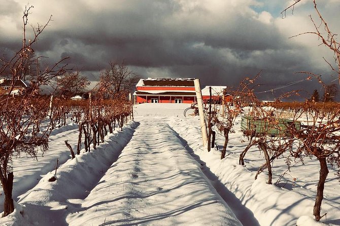 Niagara's Decadent Sparkling and Icewine Tasting - Logistics that matter: private group, mobile ticket, no shuttle