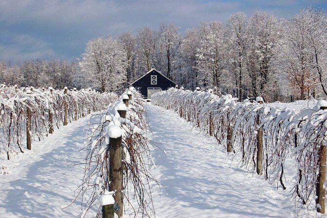 Niagara Wine Tour and Tastings with Transportation - Lunch at the Farmhouse Cafe: Plan for Extra Cost