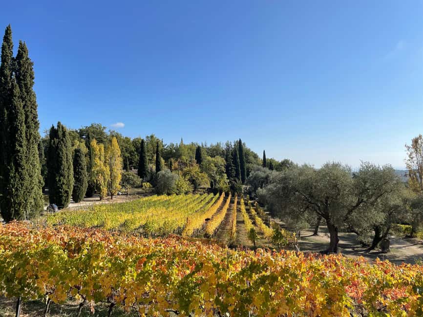 Nice: Full-Day Côtes de Provence Wine Tour - From Nice to Provence: the easy start that sets the tone