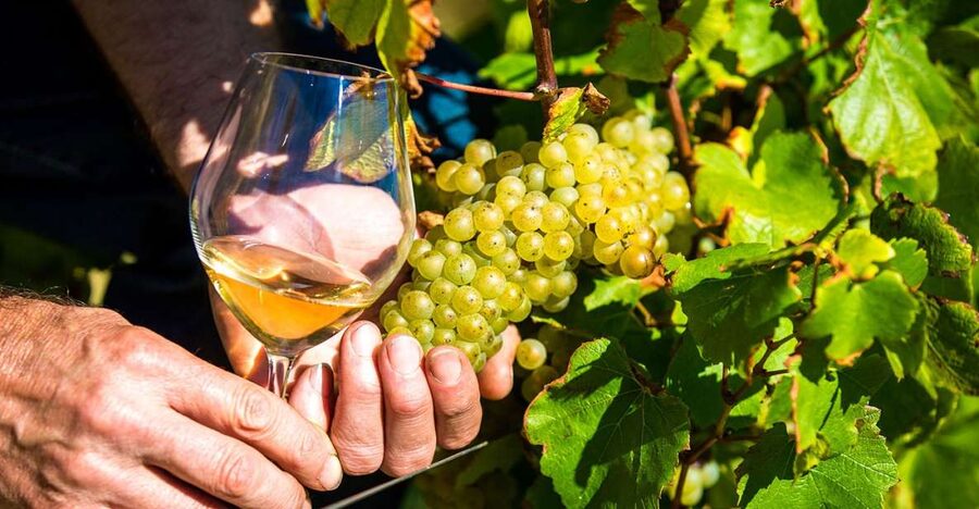 Nice: Provence Village Tour with Wine and Produce Tasting - Key things to love before you go