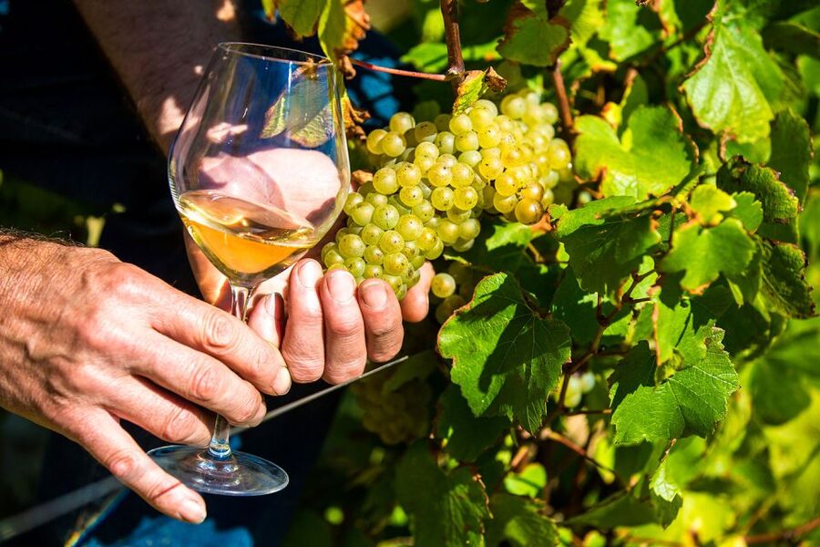 Nice: Provence Village Tour with Wine and Produce Tasting - Gourdon’s Castle Views and André Le Nôtre Garden