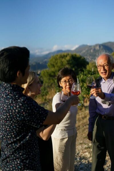 Nice: Vineyard Tour with Wine Tasting - Bellet vineyard walk: soils, sea winds, and grape-growing basics
