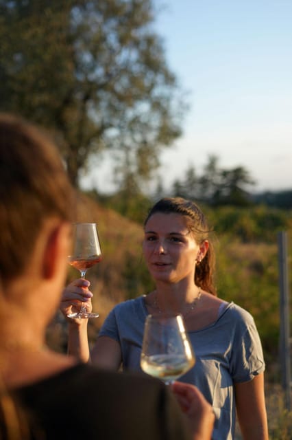 Nice: Vineyard Tour with Wine Tasting - Three wines, one lesson: what to order after you leave