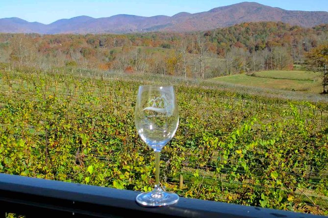 North Georgia Wine Country Tour from Atlanta - From Trader Vics to North Georgia: the shuttle ride that sets the tone