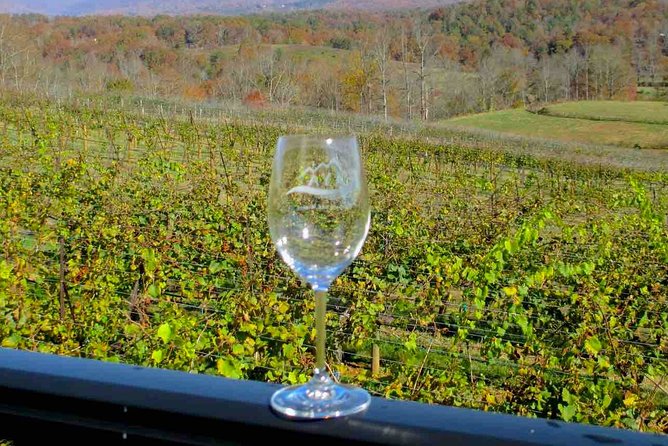 North Georgia Wine Country Tour from Atlanta - Stop 2 at CeNita Vineyards and Winery: outdoor seating and a change of pace