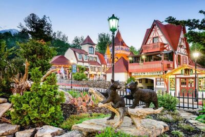 North Georgia Wine Country Tour from Atlanta - Wine tastings that feel structured, not chaotic