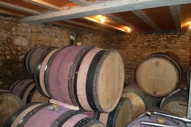 Northern Rhône Valley Wine tour from Lyon Half Day - Guide and driving reality: why comfort matters in a small group