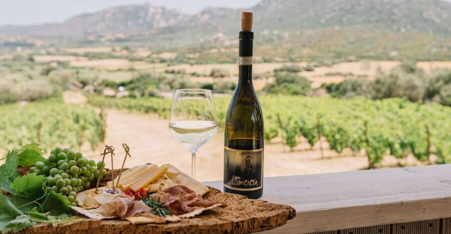 Olbia: Gallura Winery Guided Tour with Tasting - Key things worth your attention