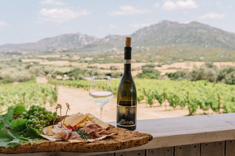 Olbia: Gallura Winery Guided Tour with Tasting - A family-run Gallura tasting with rescued animals near Olbia