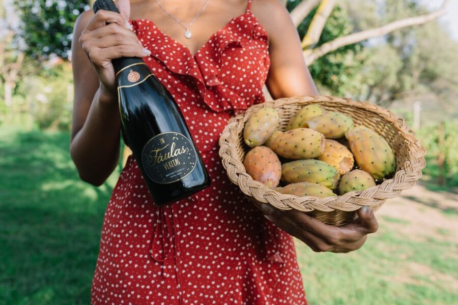 Olbia: Gallura Winery Guided Tour with Tasting - Vineyard walk and cellar tour: what you’ll actually see
