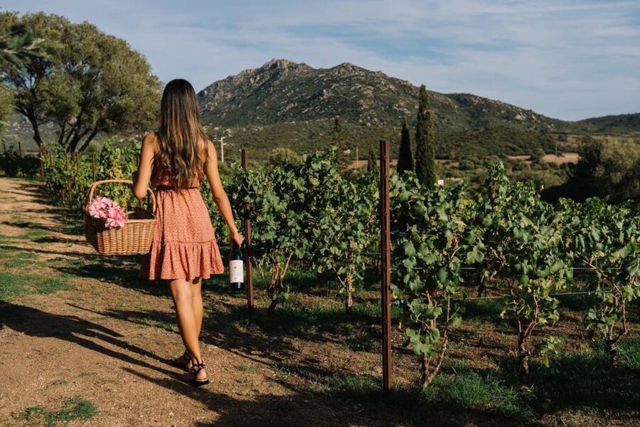 Olbia: Gallura Winery Guided Tour with Tasting - The 3-wine tasting: which wines you may taste and how pairing works