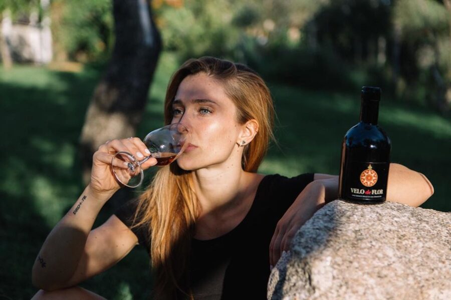 Olbia: Gallura Winery Guided Tour with Tasting - Practical stuff: timing, comfort, and group feel
