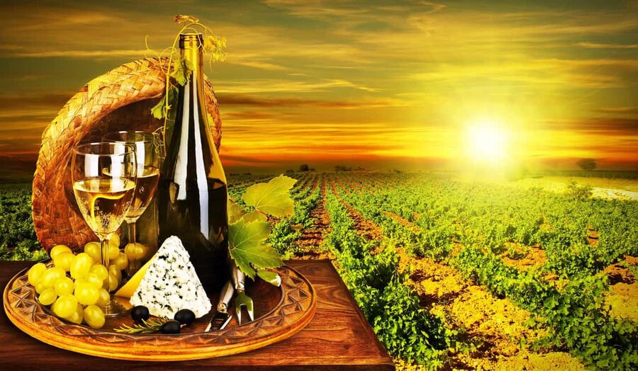 Organic Wine Tasting with Saint paul Half Day Tour from Nice - Saint-Paul-de-Vence: the painter village stop you can actually enjoy