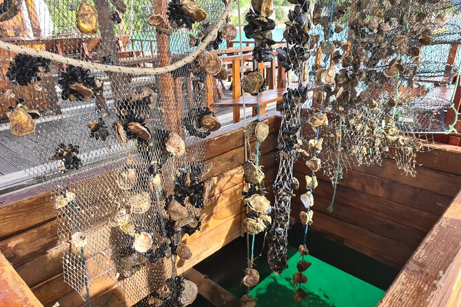 Oysters & Wine Tour From Dubrovnik (Small Group) - Key highlights you’ll feel right away