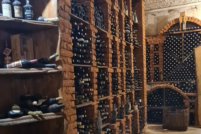 Oysters & Wine Tour From Dubrovnik (Small Group) - Small group size and pickup: why the day feels smoother