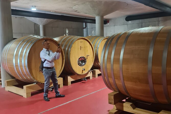 Oysters & Wine Tour From Dubrovnik (Small Group) - Who should book this tour (and who might skip it)