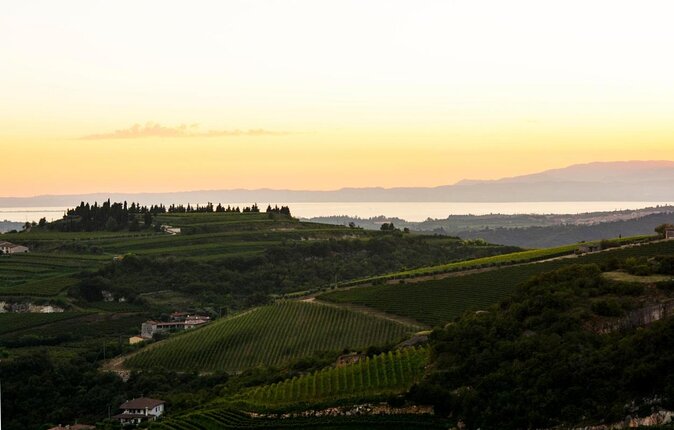 Pagus Wine Tours® - A taste of Amarone - Half day wine tour - Key highlights worth circling