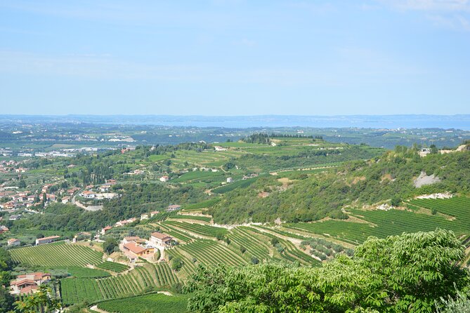 Pagus Wine Tours® - A taste of Amarone - Half day wine tour - Verona to Valpolicella Classica: the half-day plan that fits