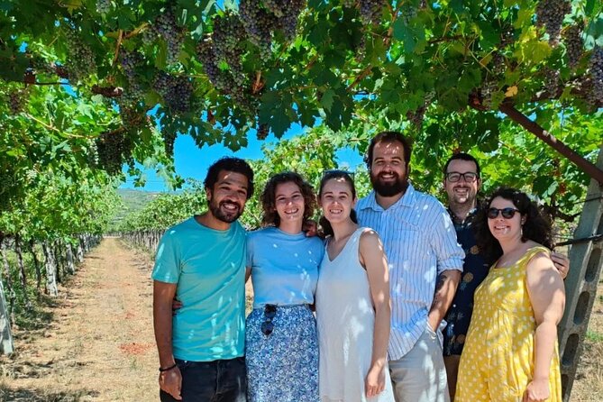 Pagus Wine Tours® - A taste of Amarone - Half day wine tour - How pairing and pacing work on a half day