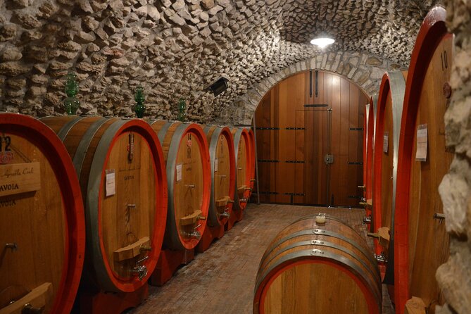 Pagus Wine Tours® - A taste of Amarone - Half day wine tour - Who should book this half-day Amarone tour?