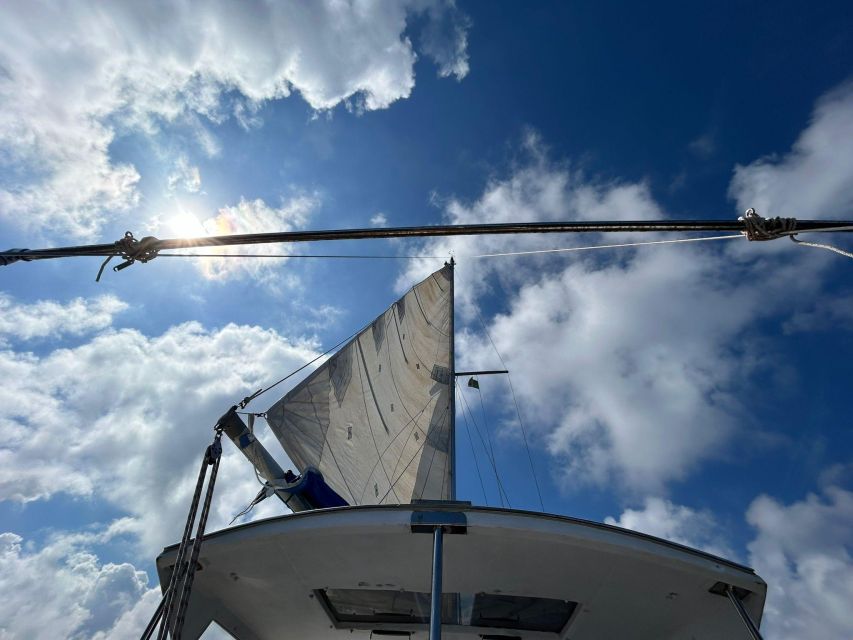 Palermo: Full-Day Snorkeling Boat Tour with Lunch and Wine - Why Palermo’s coast is so good for snorkeling