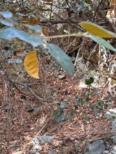 Paphos: Troodos Mountains Jeep Tour with Wine Tasting - Holy Cross Monastery (210 AD): The Quiet Pause Between Taste and Views