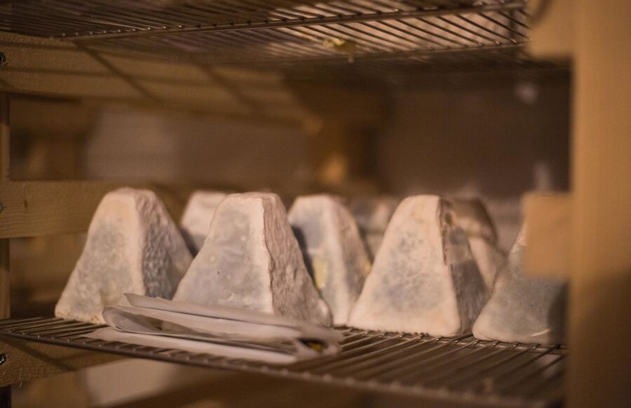 Paris: Cheese and Wine Class in a 17th Century Cellar - What You Learn in the Cellar: Aging, Texture, and Milk