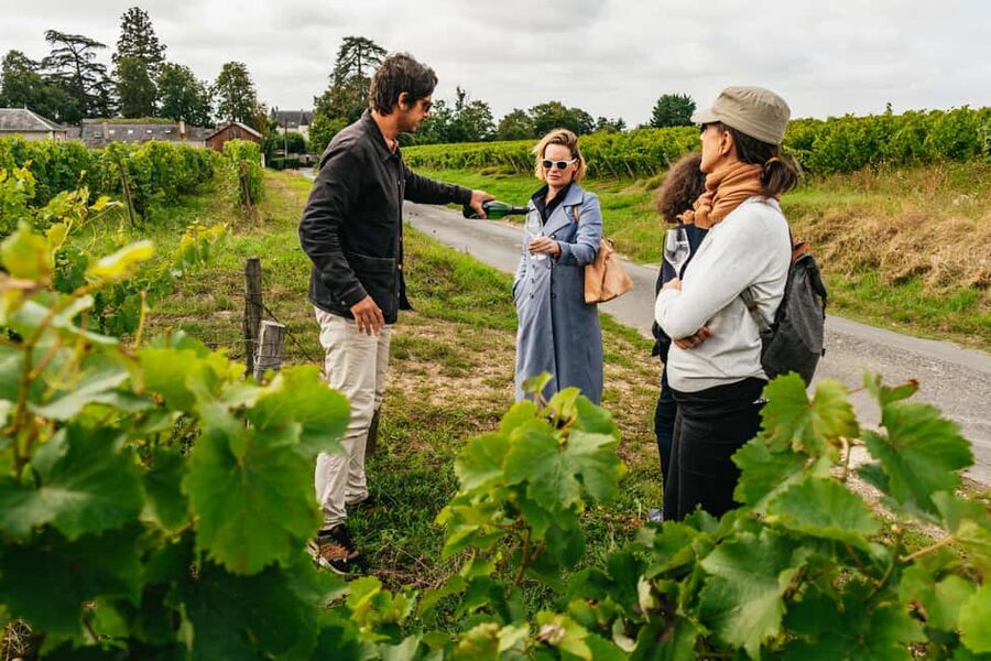 Paris: Loire Valley Chambord Castle, Wine Tasting & Lunch - Early Pickup from Paris: When the Day Trip Actually Starts
