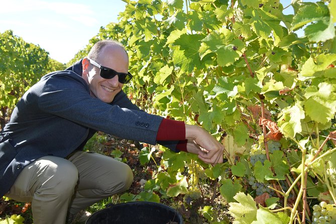 Paris Wine Day Tours exclusive Champagne tour incl. 3 visits - A 7:00 am small-group Champagne day with real breathing room