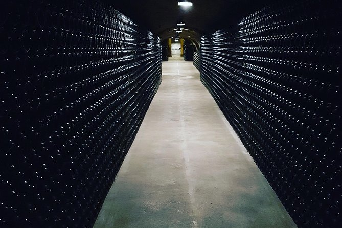 Paris Wine Day Tours exclusive Champagne tour incl. 3 visits - Who this tour fits best (and who should think twice)