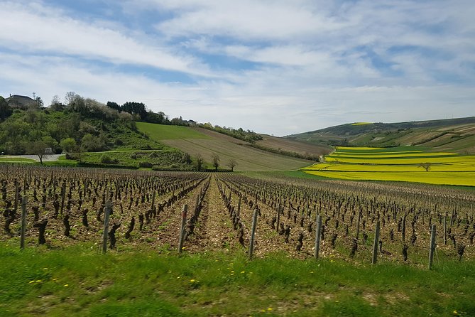 Paris Wine Day Tours exclusive wine tour in the Sancerre area - Key highlights you should care about