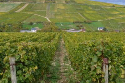 Paris Wine Day Tours exclusive wine tour in the Sancerre area - Stop 1: Sancerre village, two winemakers, and a walk in the vines