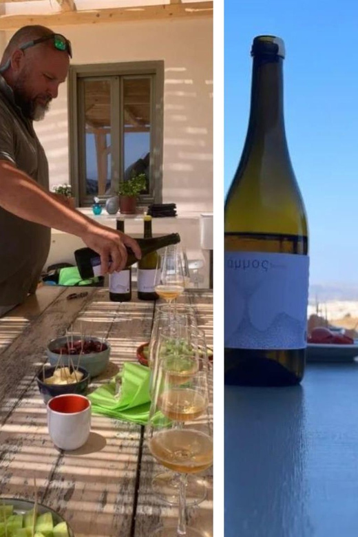 Paros: Wine tasting at Local Winery - Pet-nat and Low-Intervention: What You’re Really Learning