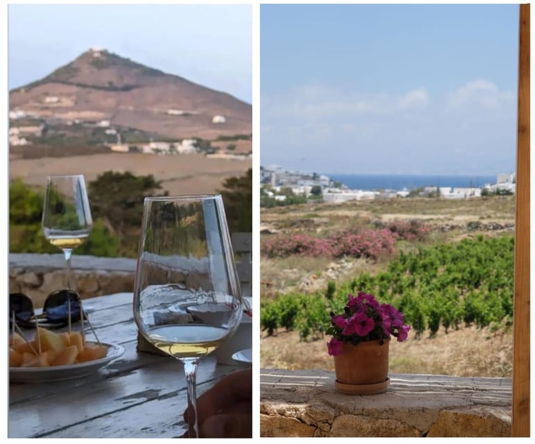 Paros: Wine tasting at Local Winery - The 15-Minute Winery Visit: Short, But It Changes How You Taste