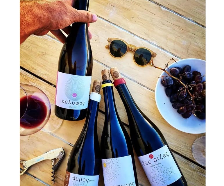 Paros: Wine tasting at Local Winery - Snacks From the Garden and Cyclades: The Right Amount