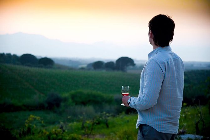 Paso Robles Wine Adventure within the Paso Robles Wine Region - What Lunch and Transportation Add to the Experience