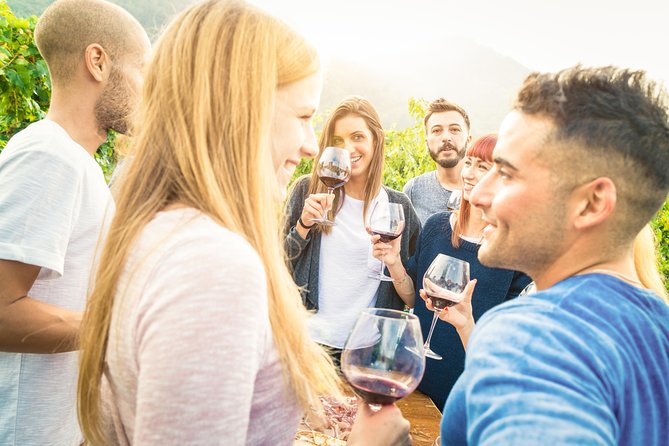 Paso Robles Wine Adventure within the Paso Robles Wine Region - Who This Paso Robles Wine Tour Fits Best