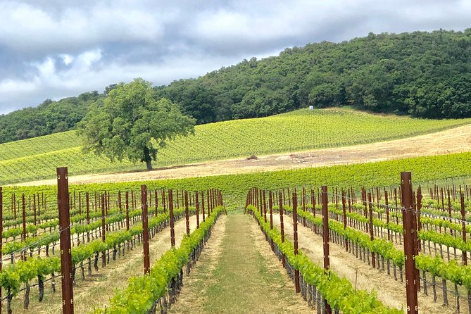 Paso Robles Wine Tour: We Drive Your Vehicle - Your 6 hours in Paso: how to build a day that doesn’t feel rushed