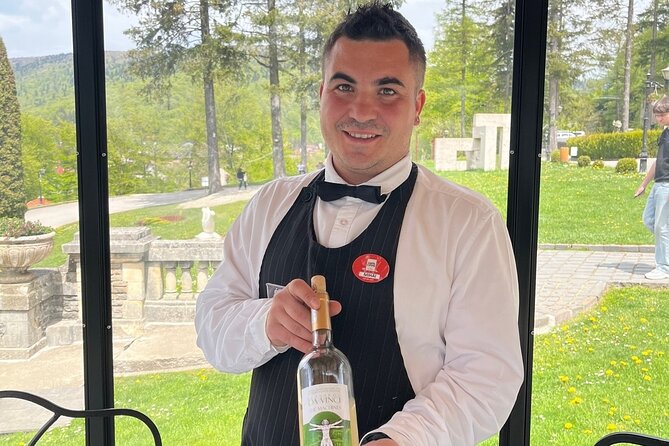 Peles & Cantacuzino Castles: Gourmet Wine & Cultural Day trip - What the $330.66 price buys you (and when it feels worth it)
