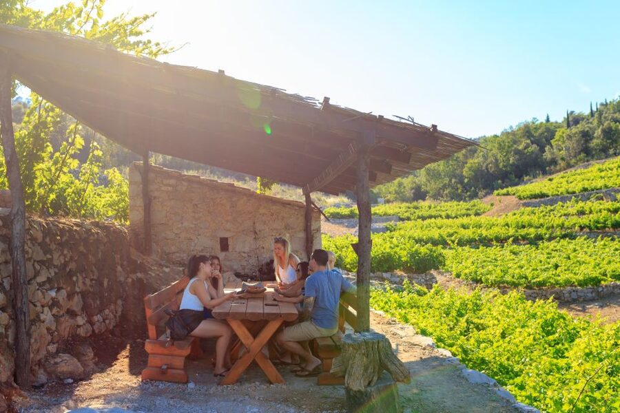 Pelješac Full-Day Wine and Food Tour from Dubrovnik - Key Points You’ll Actually Care About