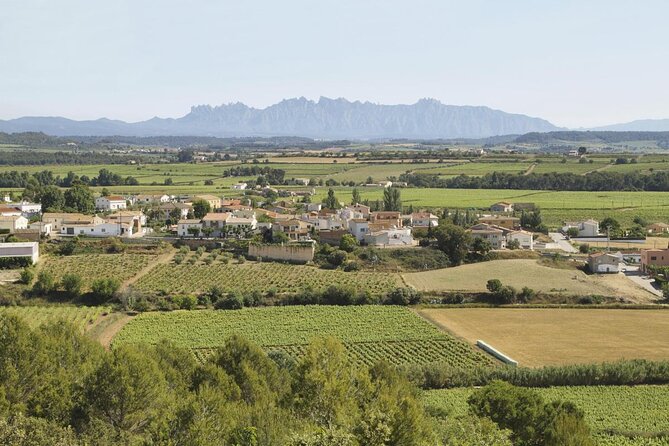 Penedes Wine & Cava Tasting & 4WD Vineyards Tour from Barcelona - Key things to know before you go