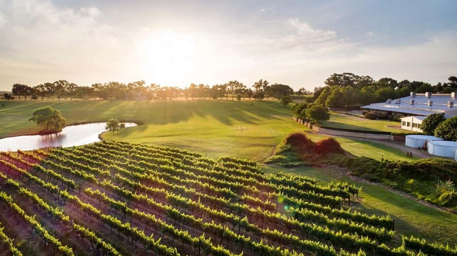 Perth: Full Day Swan Valley Cruise & Wine Tasting With Lunch - Key highlights that make this tour worth your time