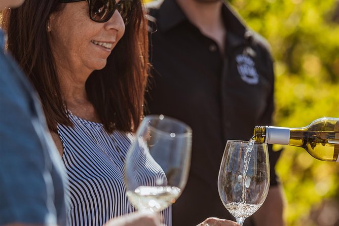 Perth: Swan Valley Half-Day Wine Tour - Small Group Experience - Who This Tour Suits Best (and Who Might Want Something Else)