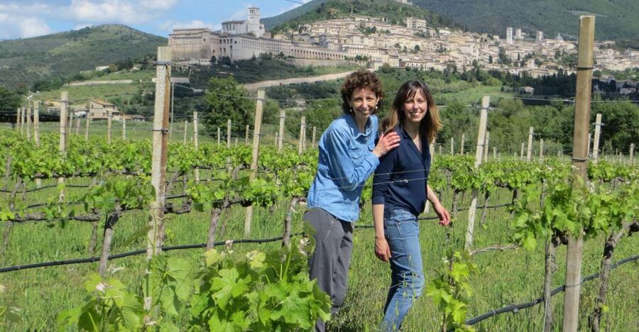 Pic nic Deluxe Assisi and wine tasting 5 wines - First Stop at SAIO Wine Shop: The Tasting Sets the Tone