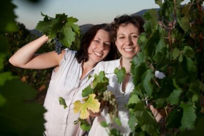 Pic nic Deluxe Assisi and wine tasting 5 wines - The Vineyards Walk: Grape Rows, Olive Groves, and Helpful Boards