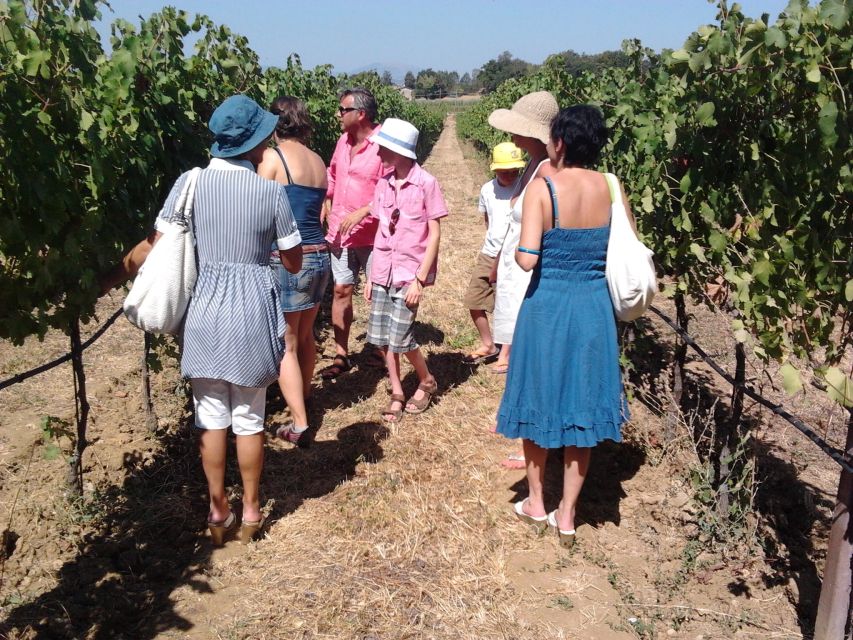 Pic nic Deluxe Assisi and wine tasting 5 wines - Location Math: How Close You Are to Assisi’s Big Draw